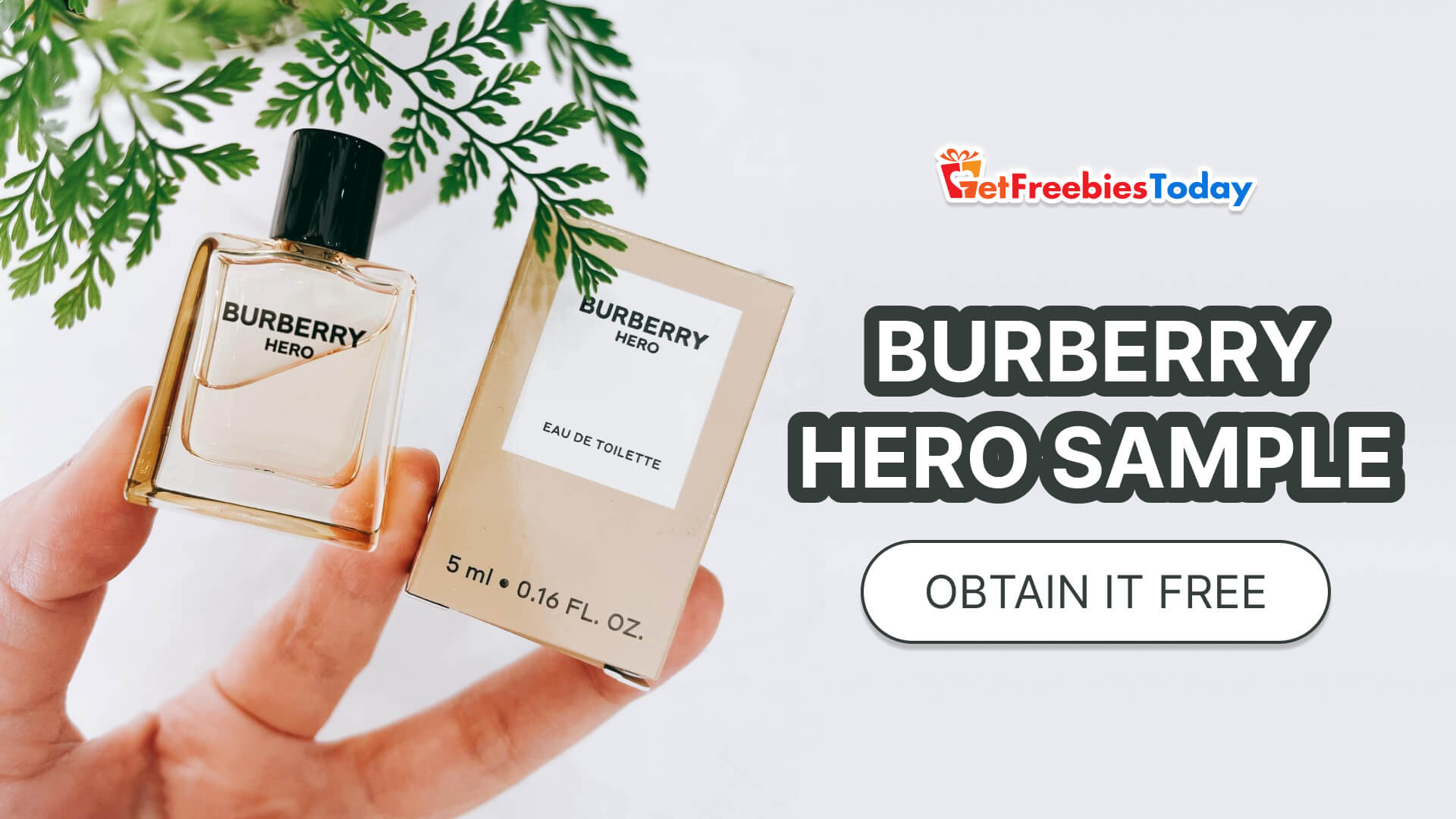 burberry hero free sample