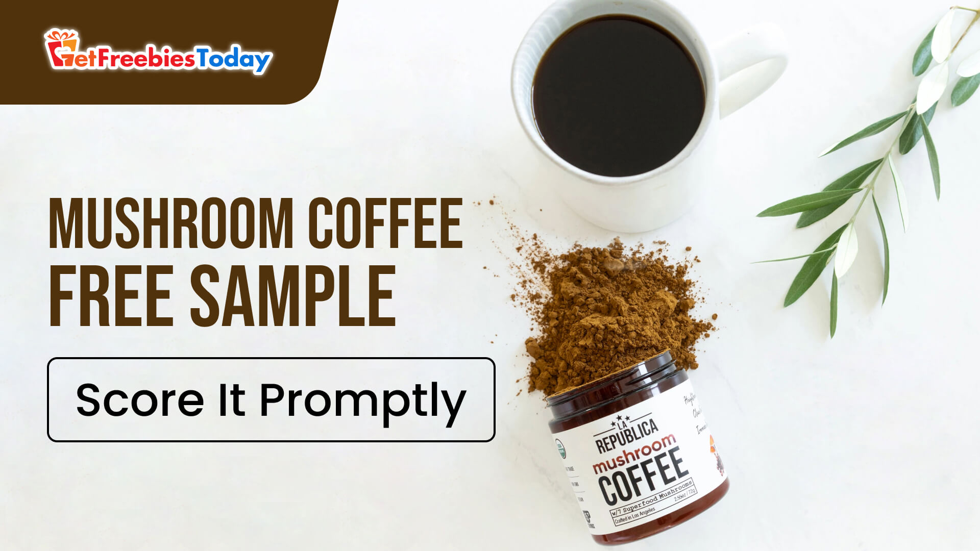 Mushroom Coffee Free Sample | GetFreebiesToday.com