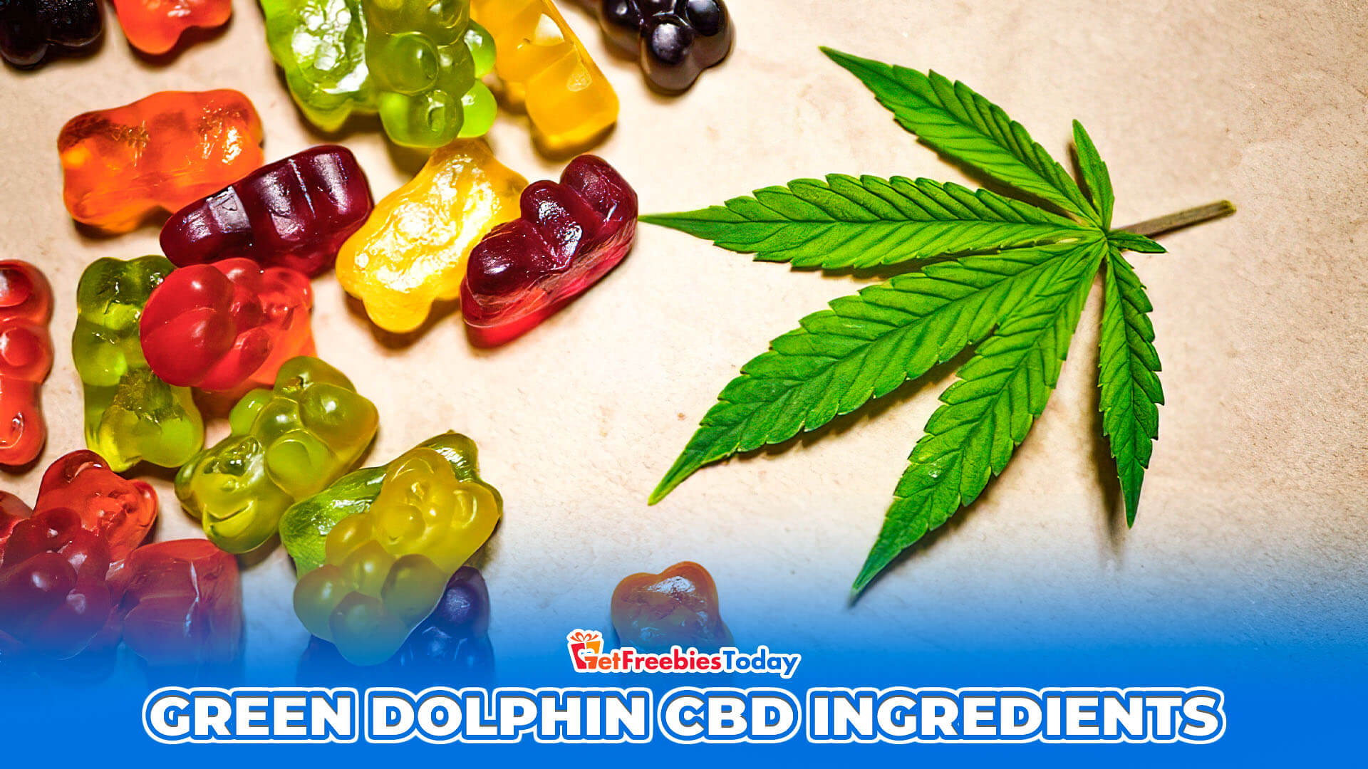 Green Dolphin CBD Ingredients Green Dolphin CBD Ingredients