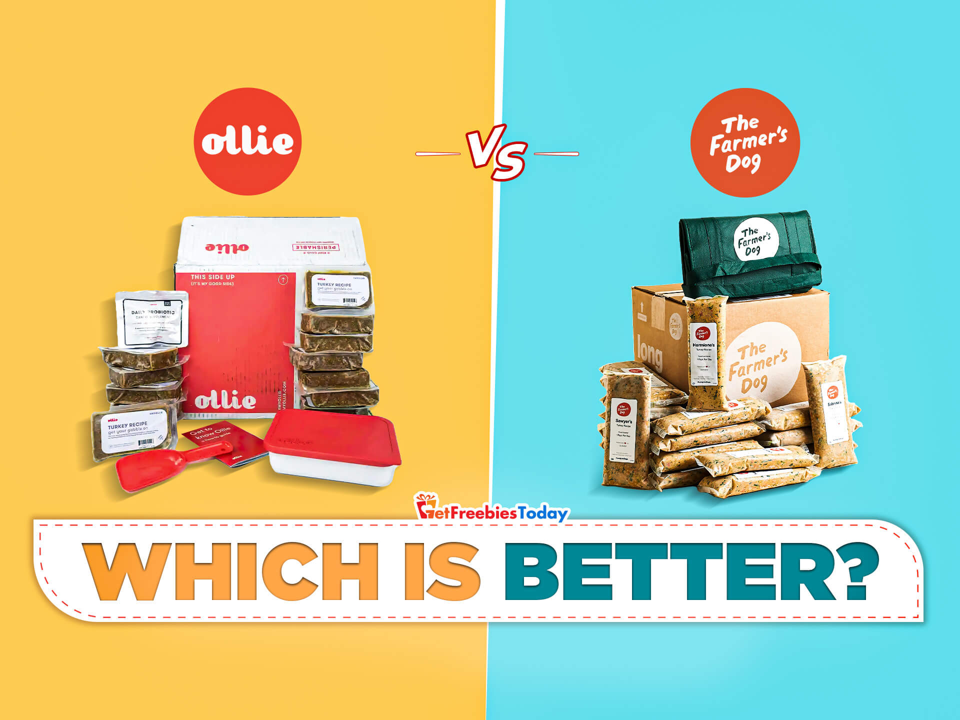 Ollie Vs Farmer’s Dog: Which Is The Best Fresh Food For Dogs?