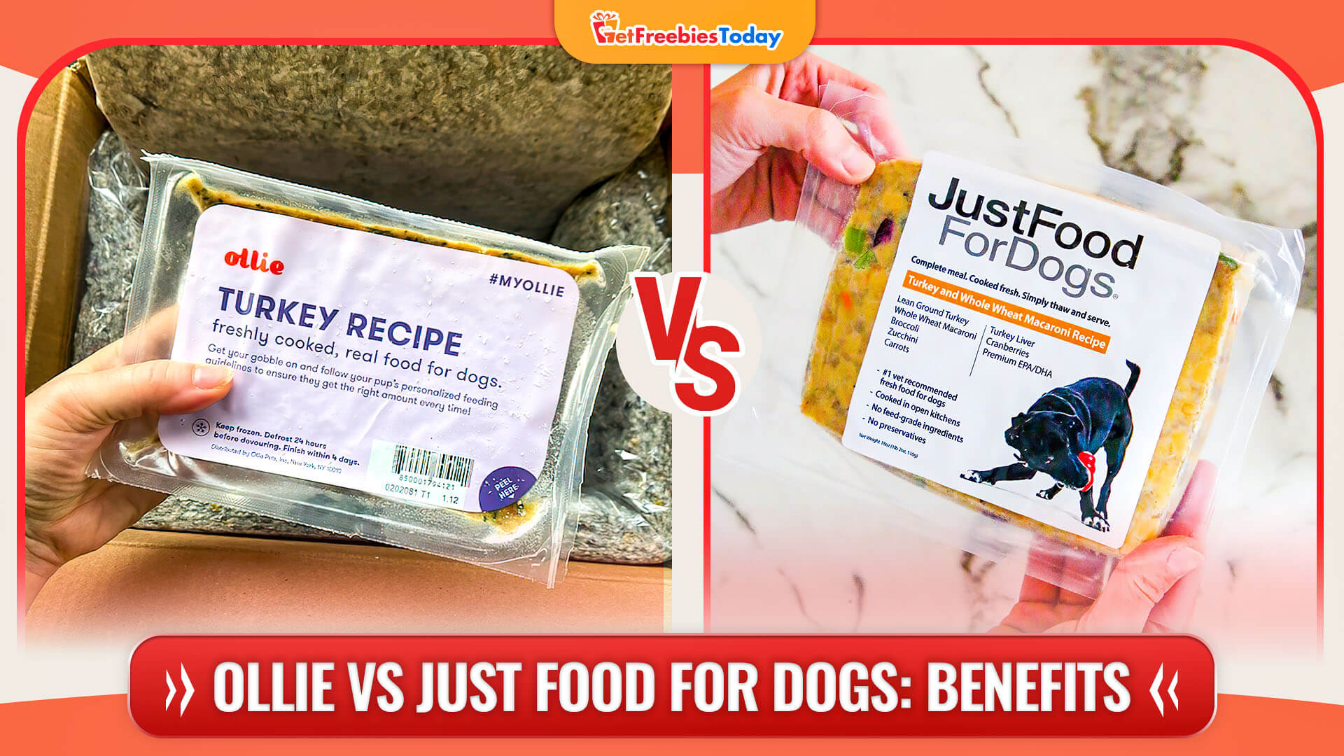 Ollie Vs Just Food For Dogs - Key features and benefits Ollie Vs Just Food For Dogs - Key features and benefits