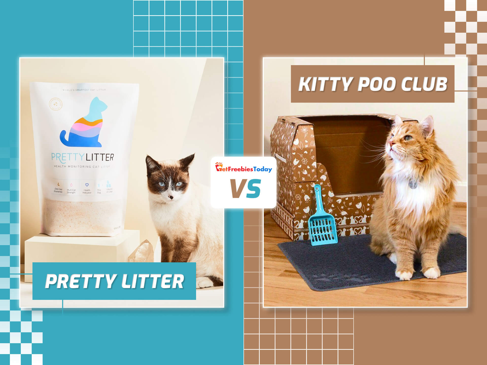 Pretty Litter Vs Kitty Poo Club: Which Is Better In 2022?