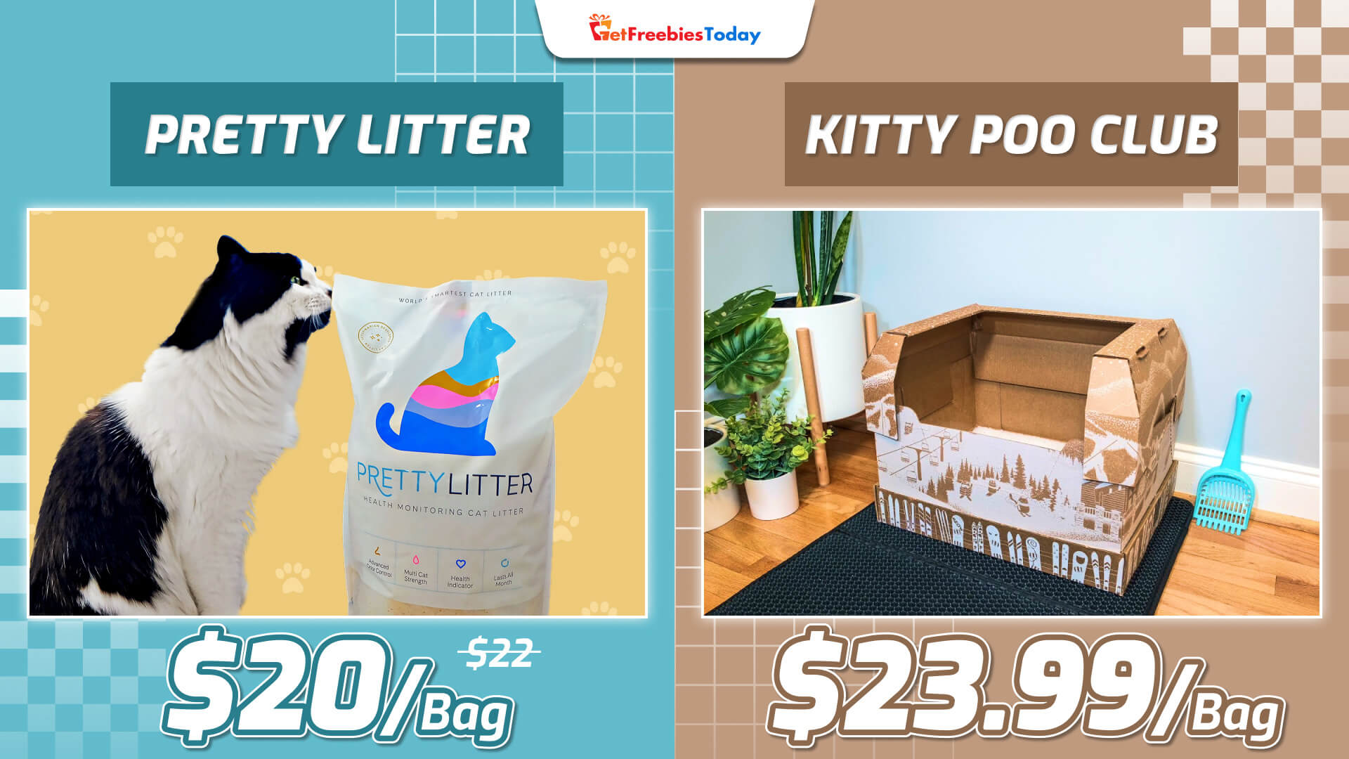 Pretty Litter Vs Kitty Poo Club Which Is Better In 2022? GFT