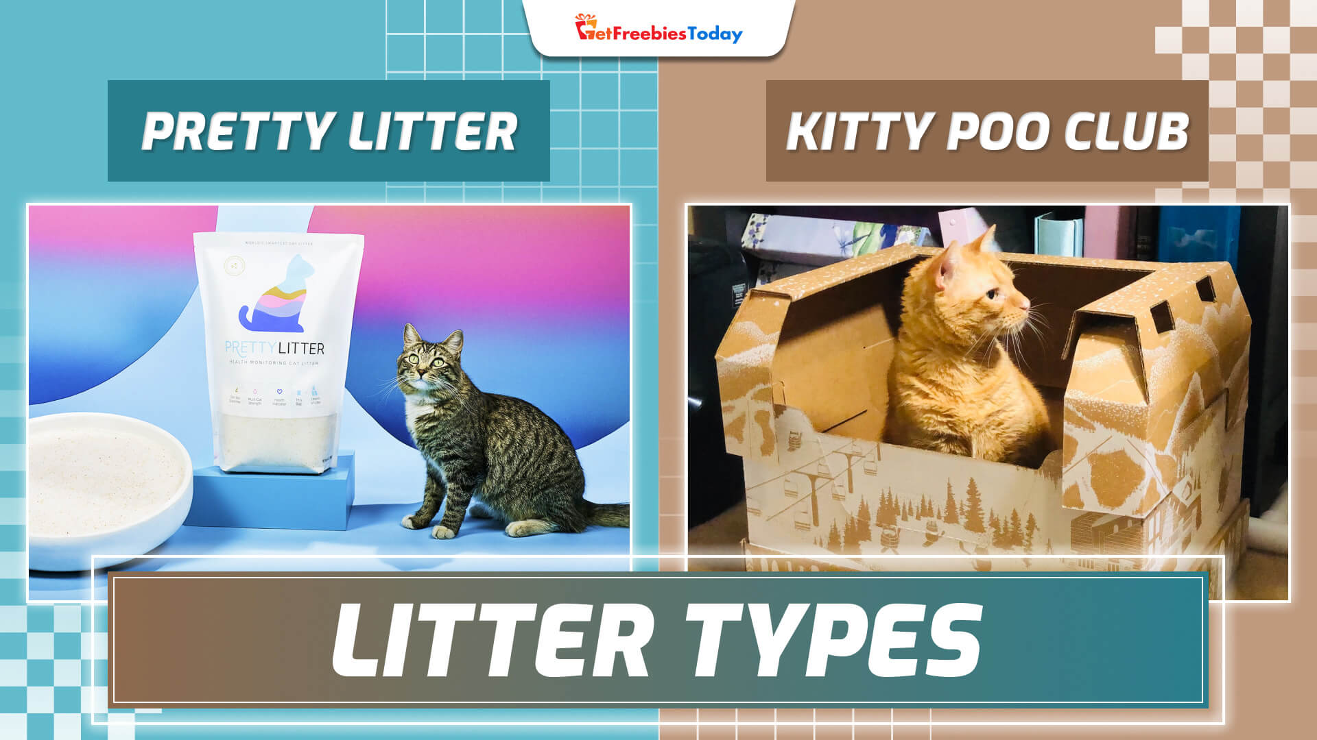 What Are Litter Types Of Pretty Litter Vs Kitty Poo Club? What Are Litter Types Of Pretty Litter Vs Kitty Poo Club?