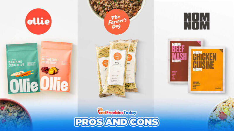 Nom Nom vs Farmer's Dog vs Ollie: The pros and cons Nom Nom vs Farmer's Dog vs Ollie: The pros and cons