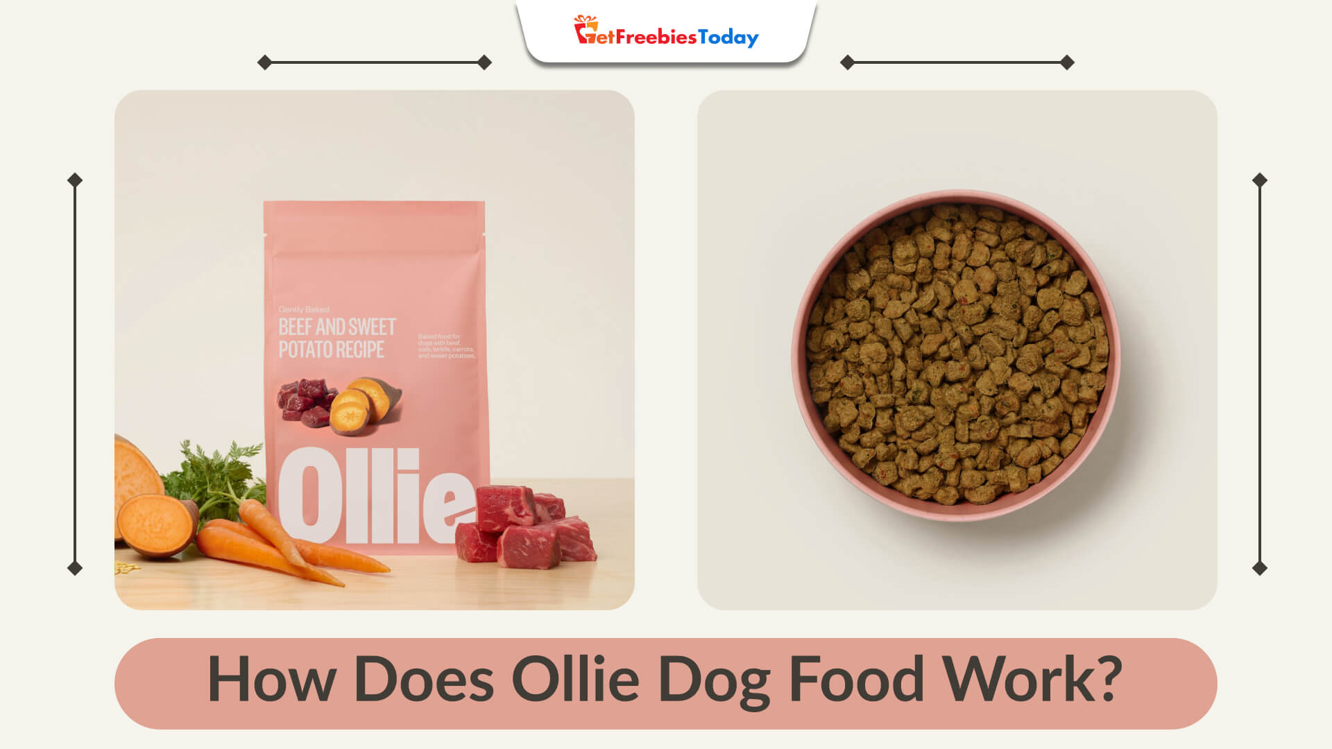 How Does Ollie Dog Food Work? How Does Ollie Dog Food Work?