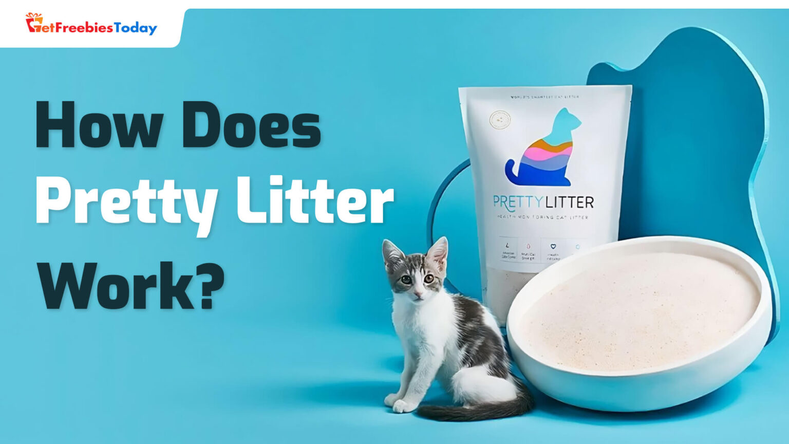 Pretty Litter Reviews In 2022 Is It The Best Cat Litter? GFT