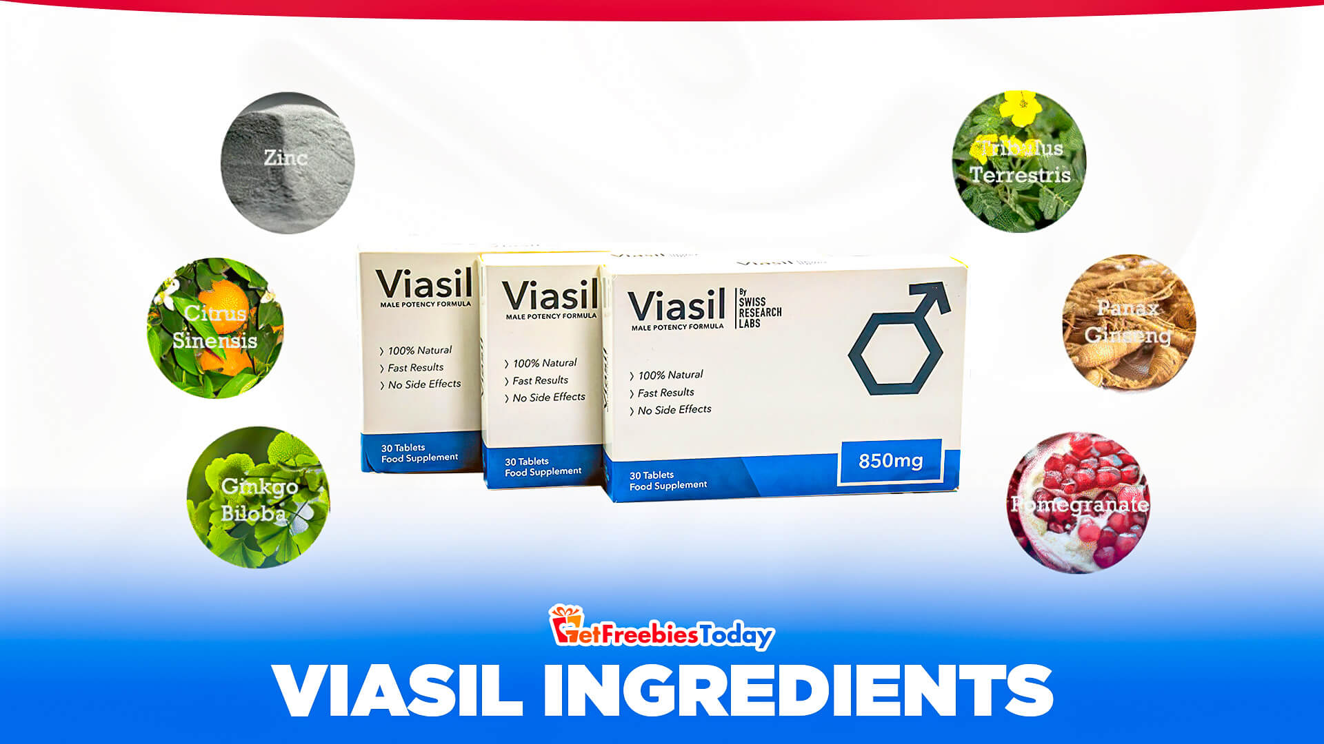 What Are The Viasil Ingredients? What Are The Viasil Ingredients?