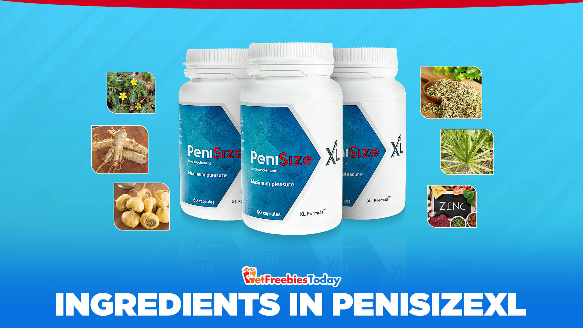 What Are The Ingredients In PeniSizeXL? What Are The Ingredients In PeniSizeXL?