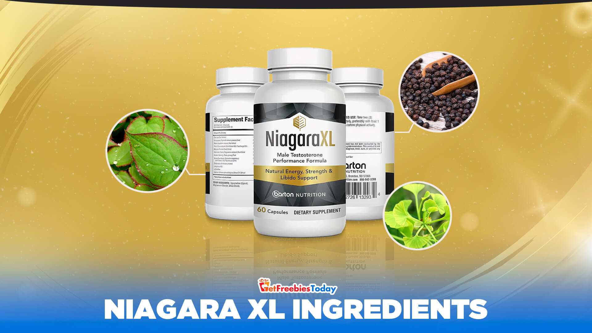 Niagara XL Ingredients Niagara XL Ingredients