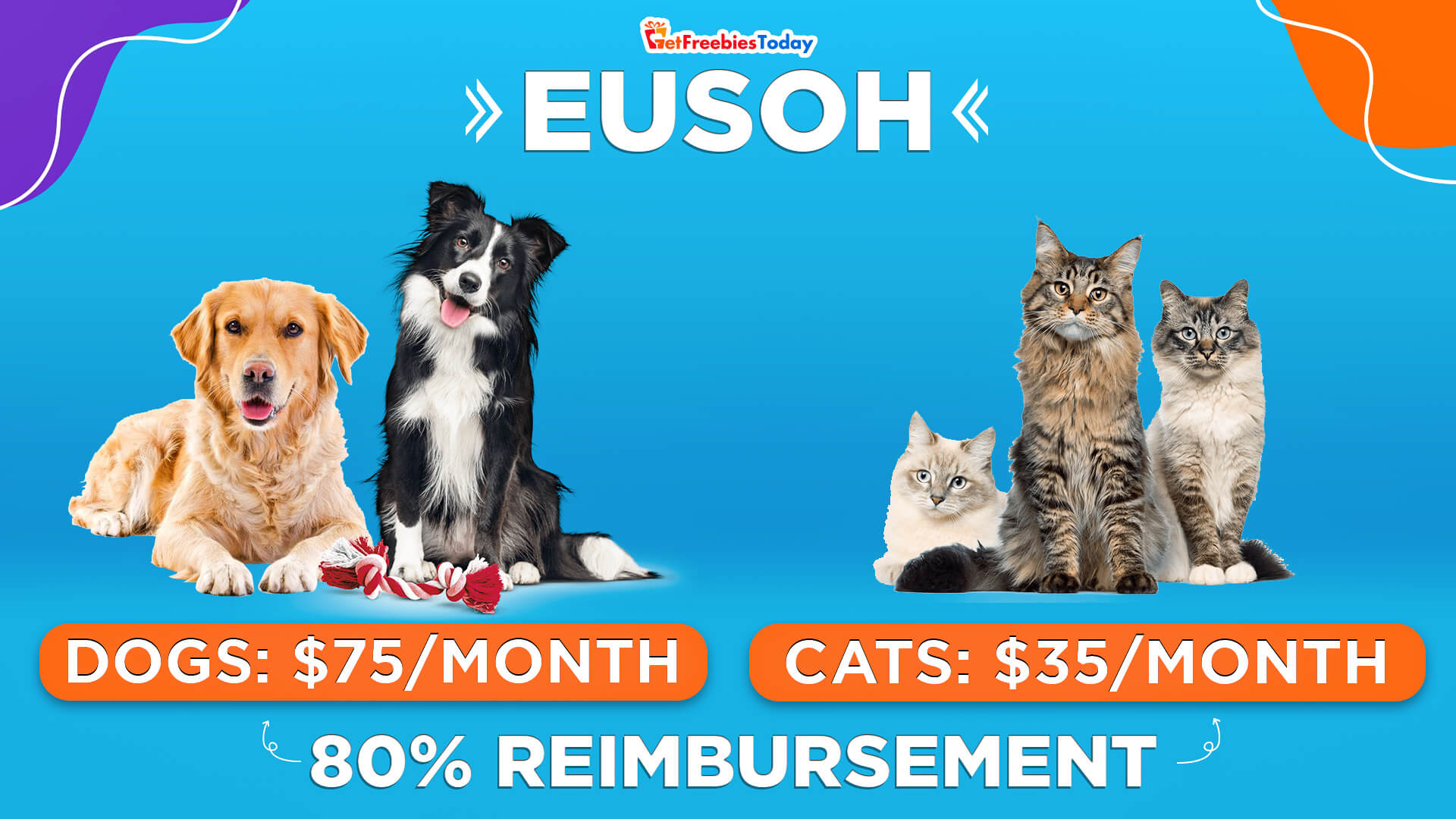 How Much Does Eusoh Cost? How Much Does Eusoh Cost?