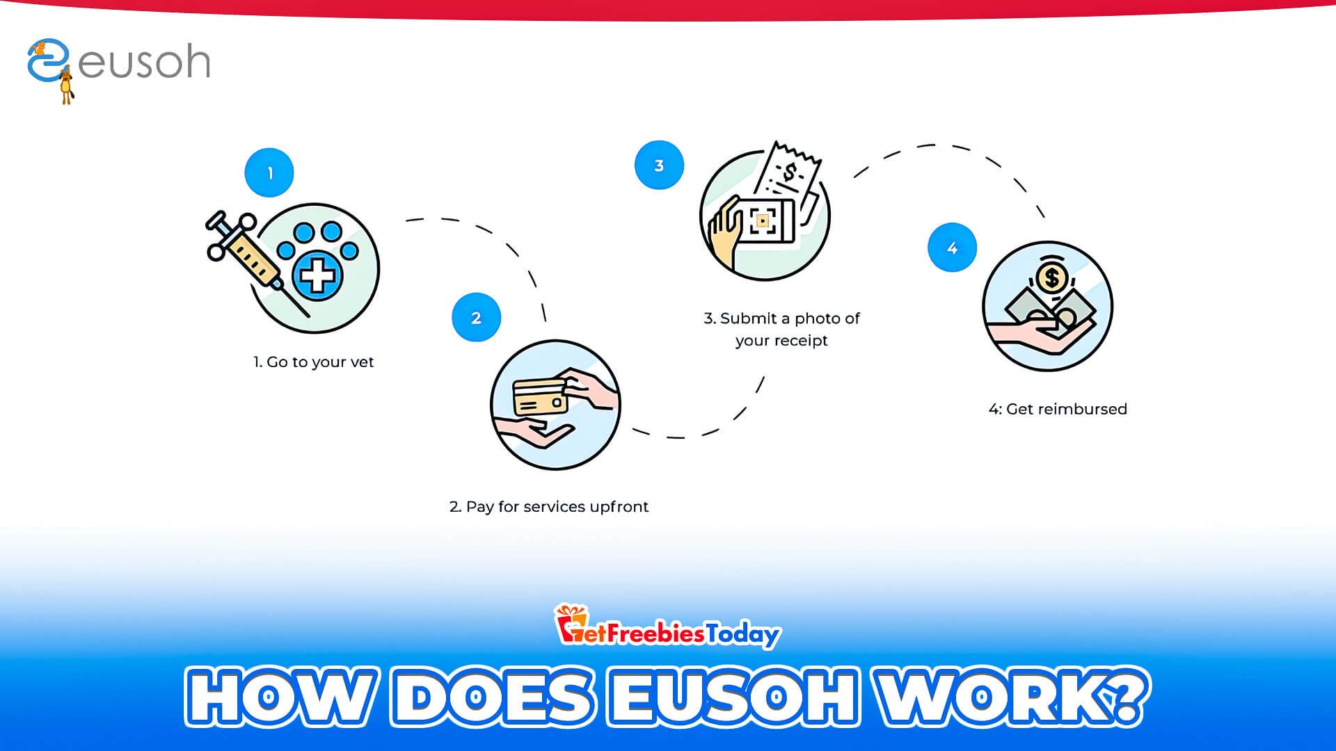 How Does Eusoh Work? How Does Eusoh Work?